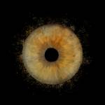 Gabriel JOANNAS - JOANNAS GABRIEL