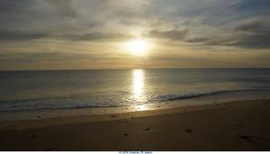 Jean Pierre GUERIN - AMPLITUDE-PHOTO